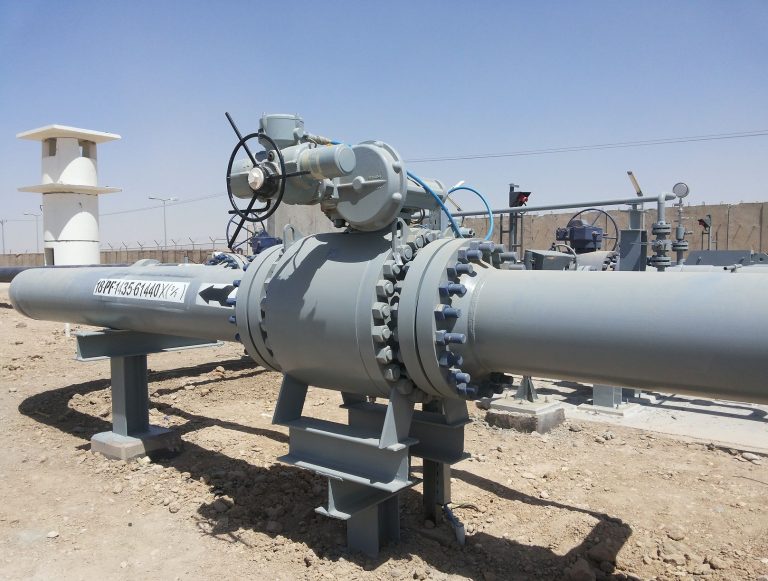 HIPPS Petronas